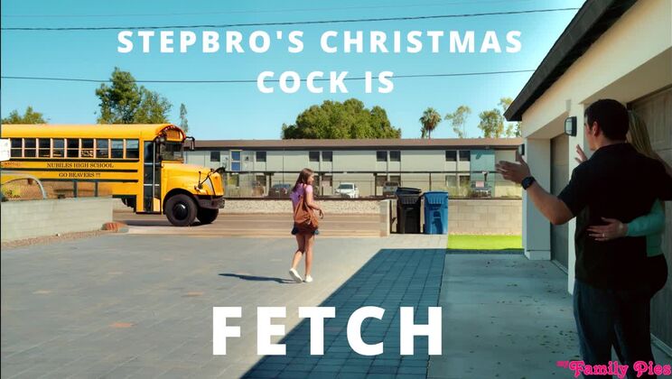 Stepbros Fuck Fest: Christmas Blowjobs and Creampies